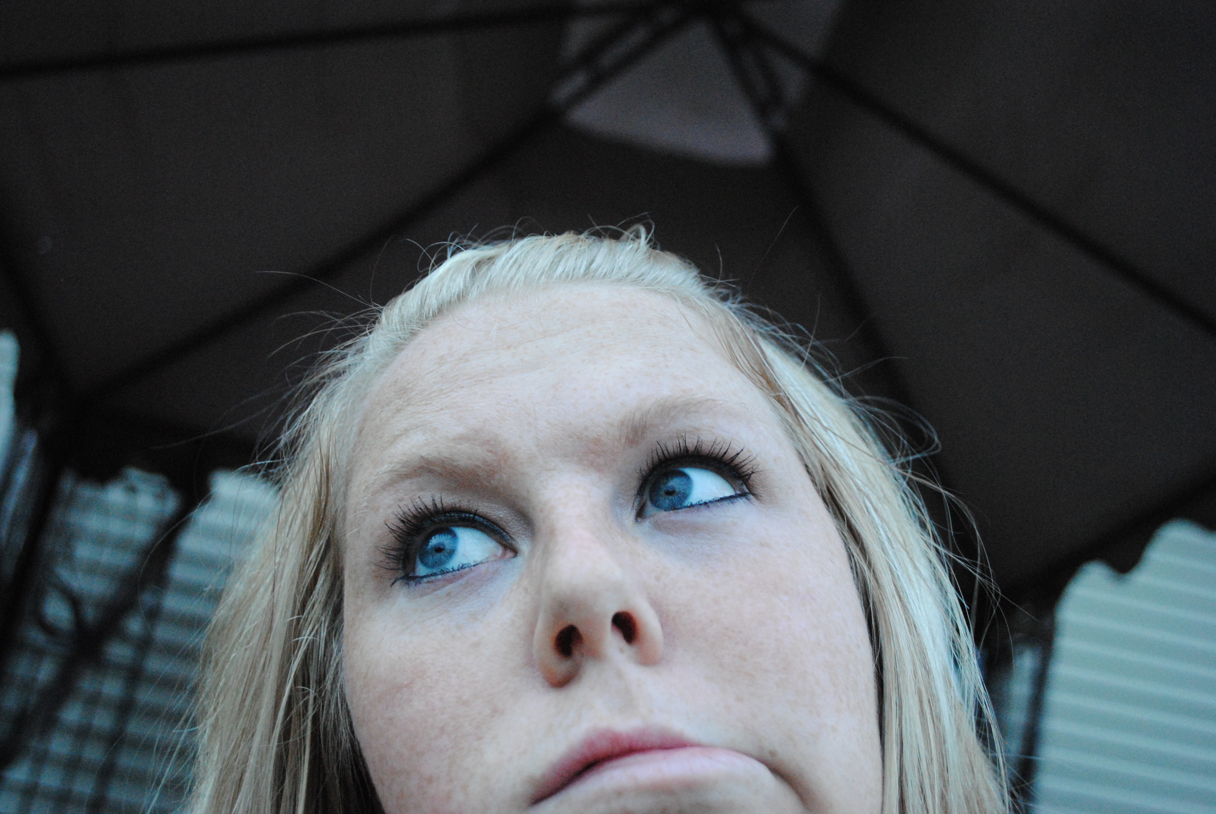 DSC_1550