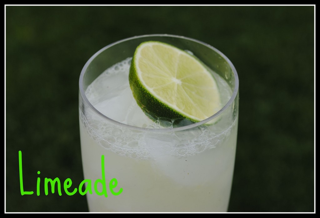 DSC_0528 A glass of limeade topped with a slice of lime.