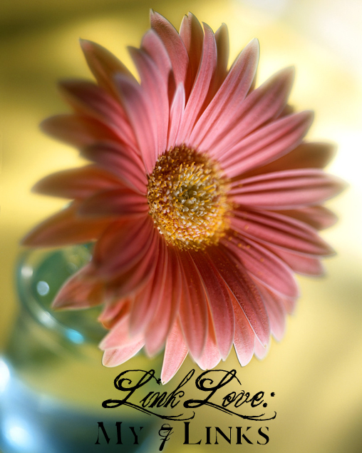 Pink Daisy in Vase