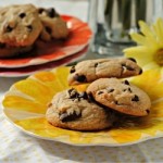 chocchipSUBMIT chocchipSUBMIT