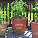 gardenSUBMIT gardenSUBMIT