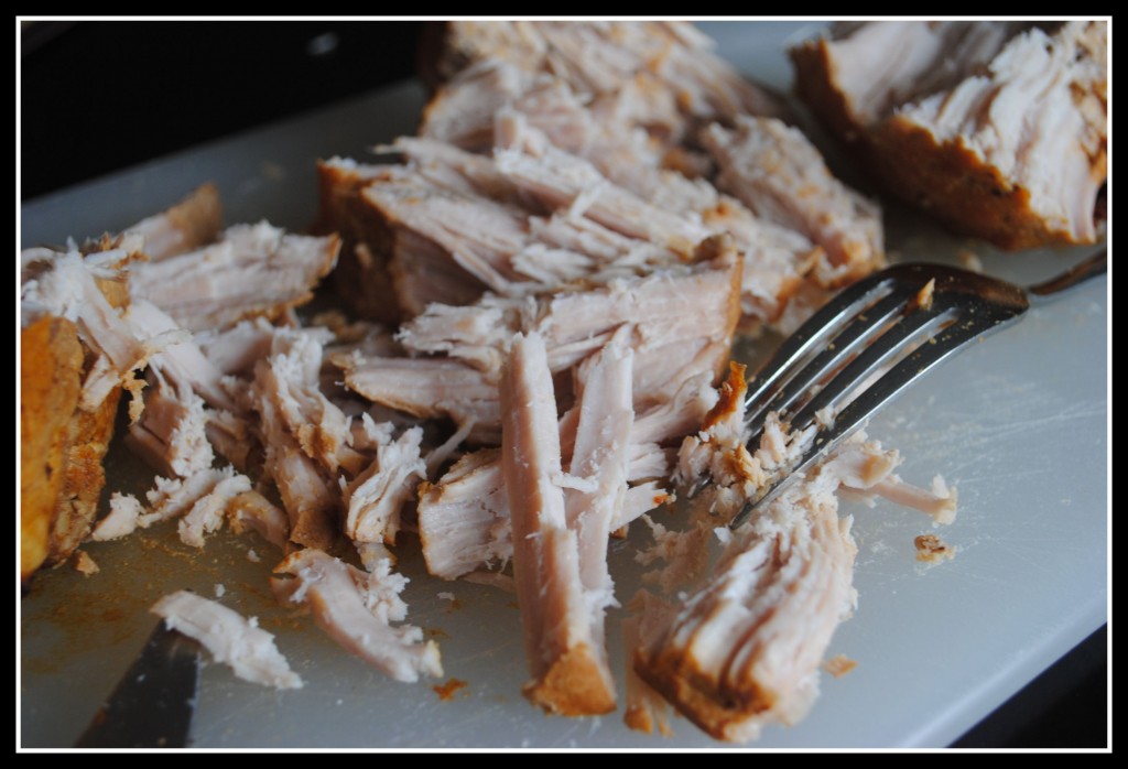 DSC_0355 A fork pulling apart slow-cooked pork.
